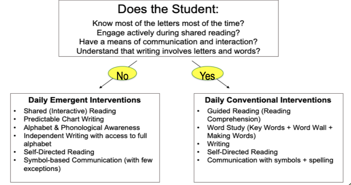 Examples of literacy interventions based on student needs